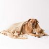 Bone Dry Microfiber Pet Blanket