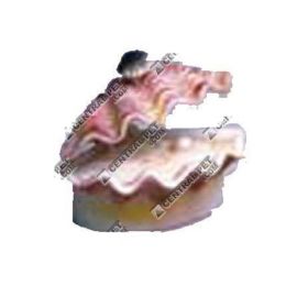 Penn-Plax Tropical Clam Air Aquarium Ornament Tropical Calm White, Pink