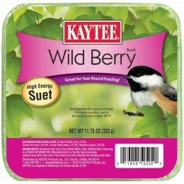 Kaytee Wild Berry High Energy Mini Suet 11.75 Ounces