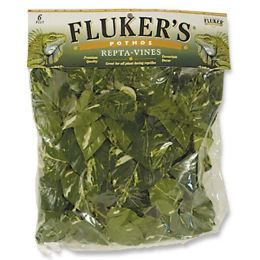 Fluker's Pothos Repta-Vines Green 6 ft