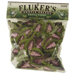 Fluker's Purple Coleus Repta-Vines Green, Purple 6 ft