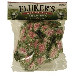 Fluker's Red Coleus Repta-Vines Green, Red 6 ft