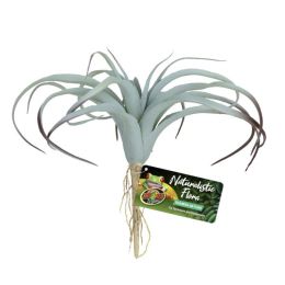 Zoo Med Naturalistic Flora Tillandsia Air Plant Terrarium Plant Gray, Tan